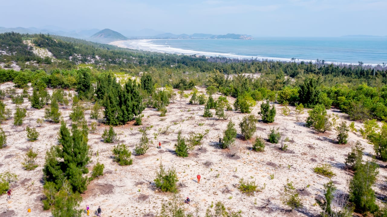 Coastal Forest Restoration